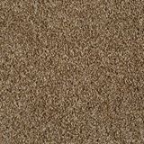 Cool Breeze Aged Tree Carpet