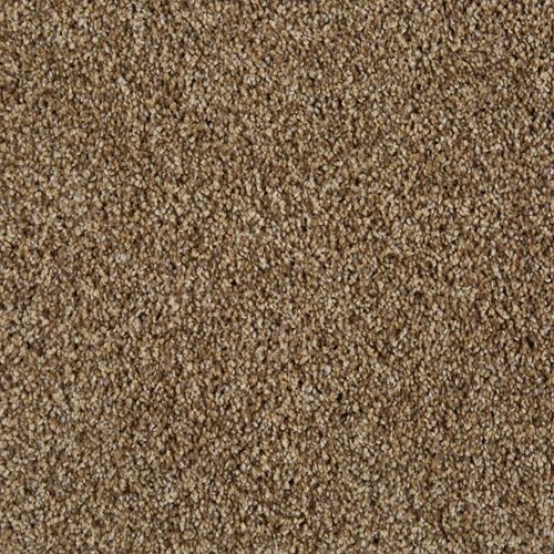 Cool Breeze Plush Carpet