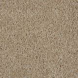 Cool Breeze Cotton Wood Carpet