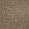 Cool Breeze Plush Carpet