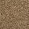 Cool Breeze Plush Carpet