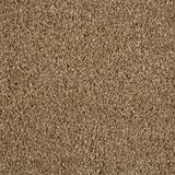 Cool Breeze Tanned Branch Carpet