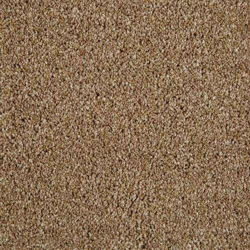 Cool Breeze Plush Carpet