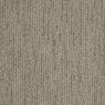 Echo Canyon Pattern Carpet