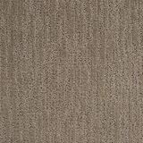 Echo Canyon Resort Tan Carpet