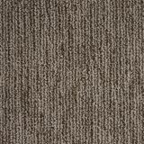 Echo Canyon Rustic Town Carpet