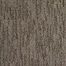 Echo Canyon Pattern Carpet