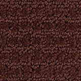 Envision Color Berry