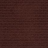 Envision Berry Carpet