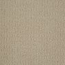 Envision Pattern Carpet