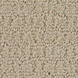 Envision Color Canvas