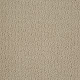 Envision Canvas Carpet