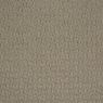 Envision Pattern Carpet