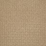 Envision Pattern Carpet