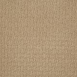 Envision Dunes Carpet