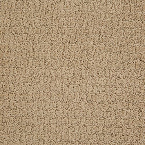 Envision Pattern Carpet