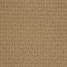 Envision Pattern Carpet