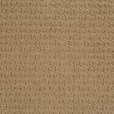 Envision Fieldstone Carpet