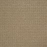 Envision Pattern Carpet