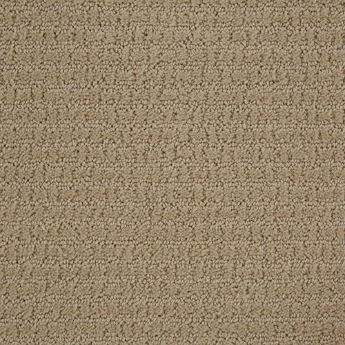 Envision Pattern Carpet