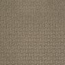 Envision Pattern Carpet