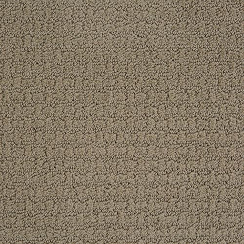 Envision Pattern Carpet