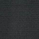 Envision Indigo Carpet