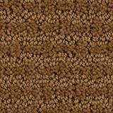 Envision Color Leather Bound