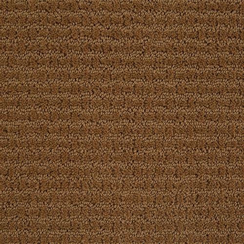 Envision Pattern Carpet
