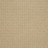 Envision Pattern Carpet