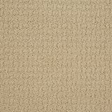Envision Linen Carpet