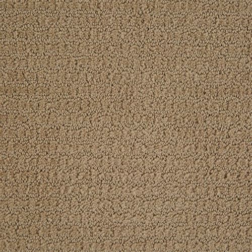 Envision Pattern Carpet