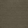 Envision Pattern Carpet