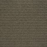 Envision Pewter Carpet