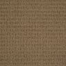 Envision Pattern Carpet