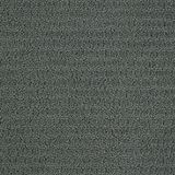 Envision Refreshing Carpet