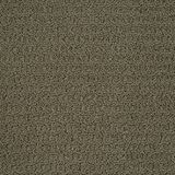 Envision Silver Sage Carpet