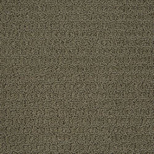 Envision Pattern Carpet