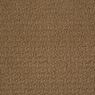 Envision Pattern Carpet