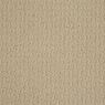 Envision Pattern Carpet