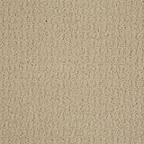 Envision Winter White Carpet
