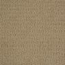 Envision Pattern Carpet