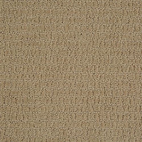 Envision Pattern Carpet