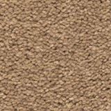 Match Play Color Game Day