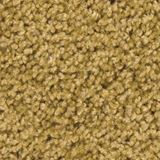 Pendleton Color Almond Silk