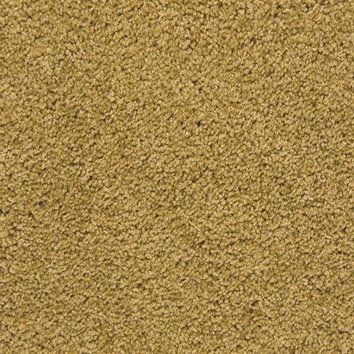 Pendleton Plush Carpet