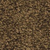 Pendleton Color Dark Cocoa