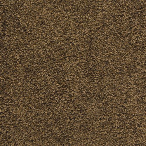 Pendleton Plush Carpet