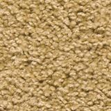 Pendleton Color Flax Seed