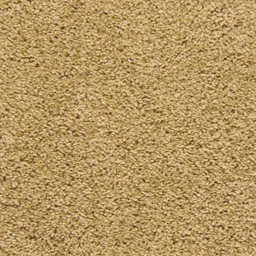 Pendleton Plush Carpet